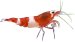 Gebruikersavatar